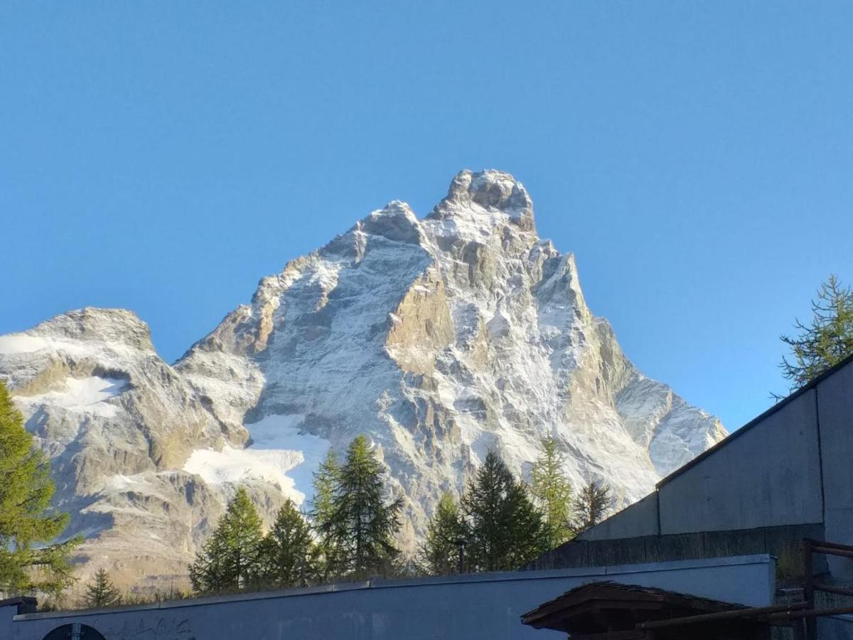 Soldanella Cervinia Apartment Vda Vacanze In Vetta Cir 0253 Breuil-Cervinia Buitenkant foto