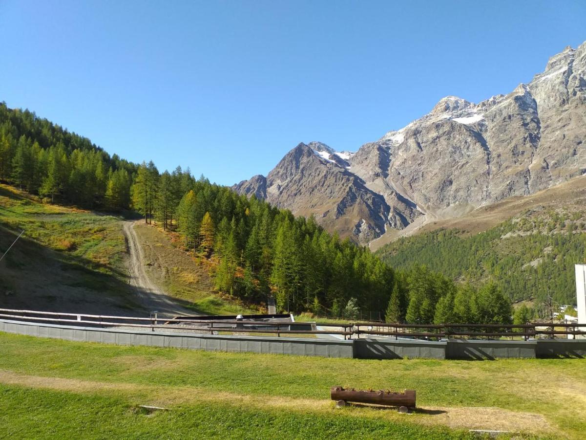 Soldanella Cervinia Apartment Vda Vacanze In Vetta Cir 0253 Breuil-Cervinia Buitenkant foto